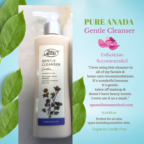 New! Pure Anada Gentle Cleanser Unscented Natural Vegan Sensitive All Skin types - Picture 1 of 7